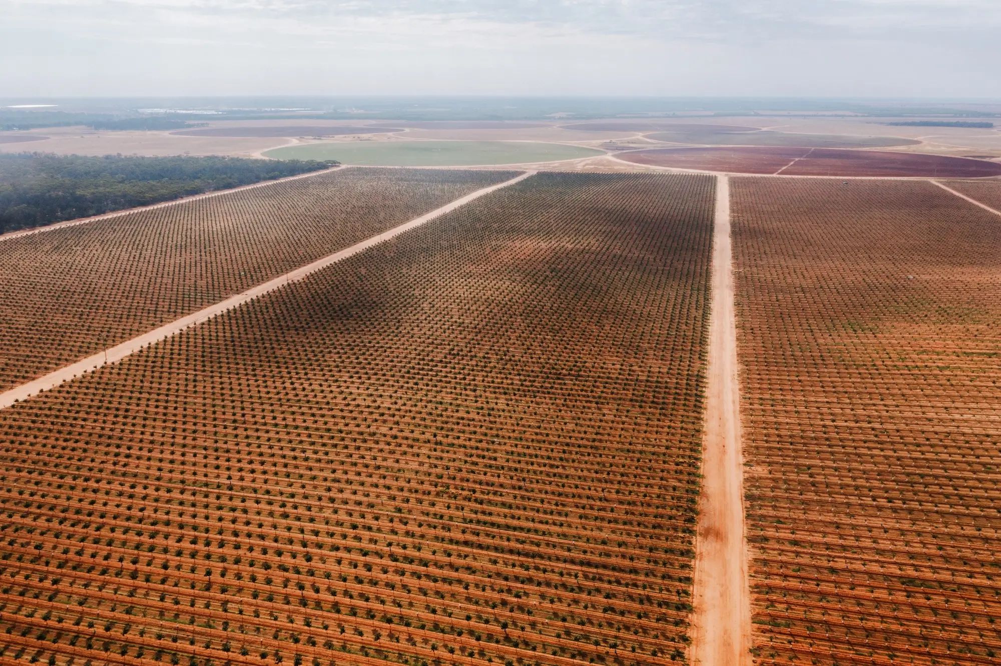 Aerial view of farmland with expansive fields in Australia, highlighting agronomy and custom fertiliser for healthy crops.