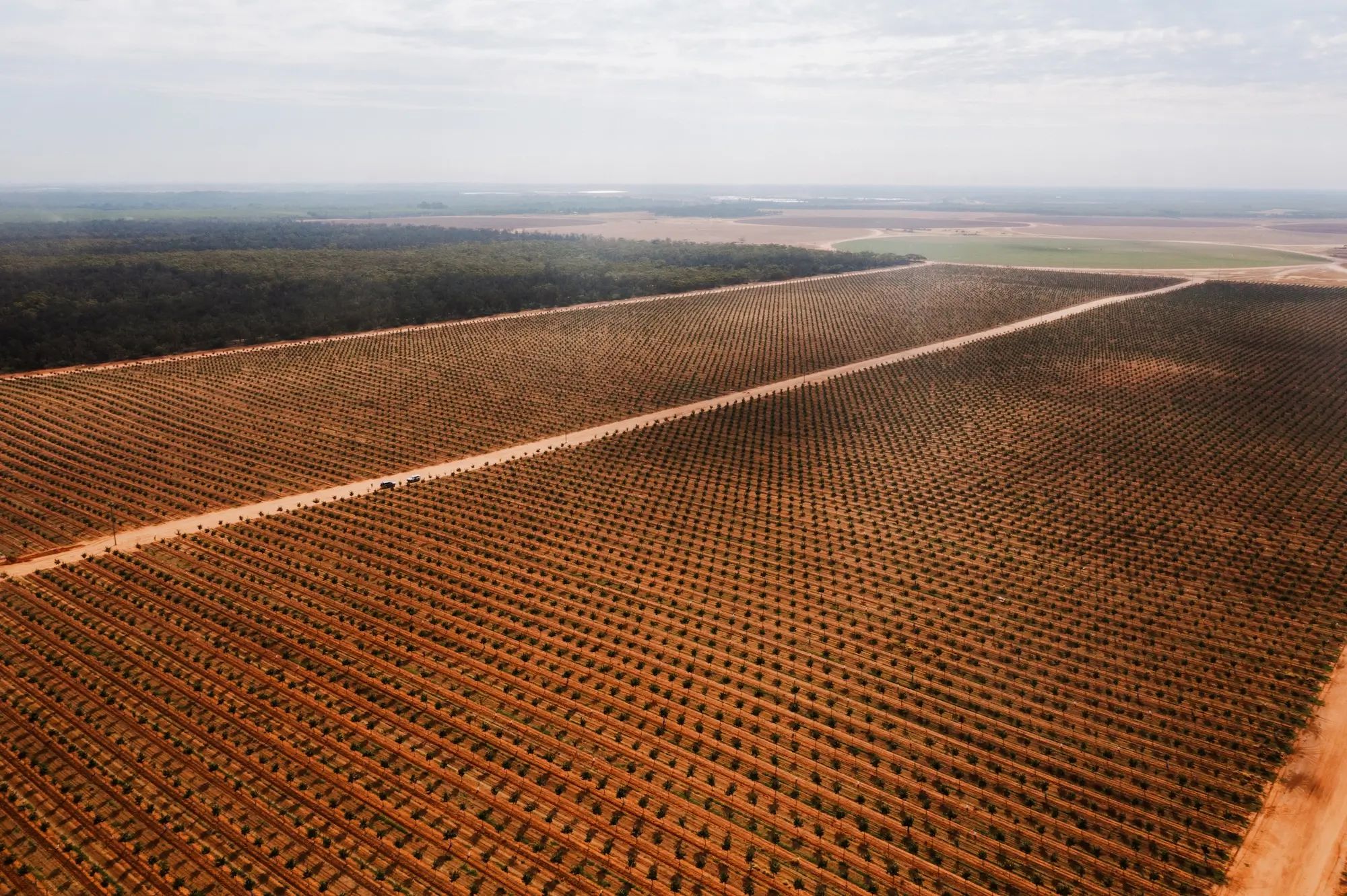 Vast farmland in the Australian countryside viewed from above, showcasing potential for liquid fertiliser and healthy crops.