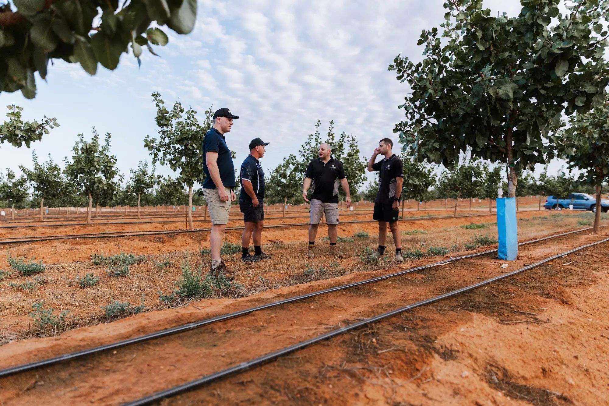 Farmers in an orchard discussing strategies for higher fruit yields using liquid fertiliser on an Australian farm.