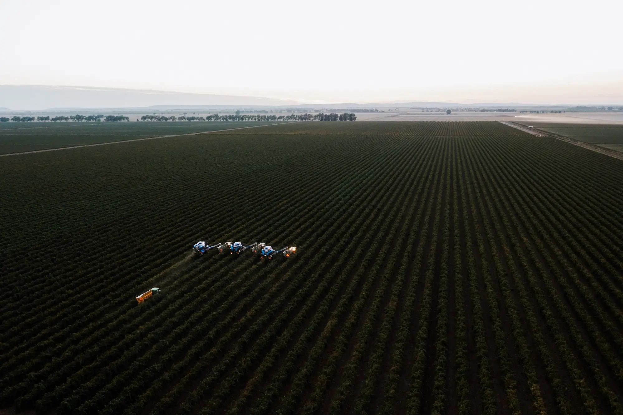 Tractors in a large farm field spraying crops, enhancing soil nutrition with liquid fertiliser for higher fruit yields.