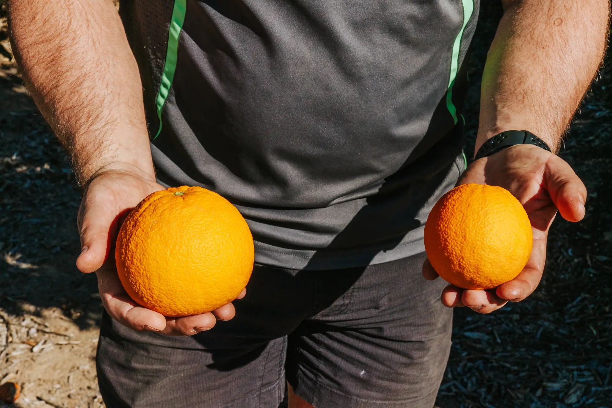 Two oranges being held in the hands of a person, showcasing healthy crops on an Australian farm using NuEdge liquid fertiliser.
