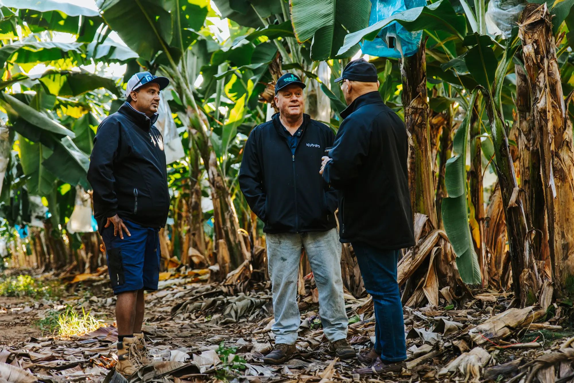 Farmers discussing crop strategies in a banana plantation, focusing on liquid fertiliser and soil nutrition for higher fruit yields.