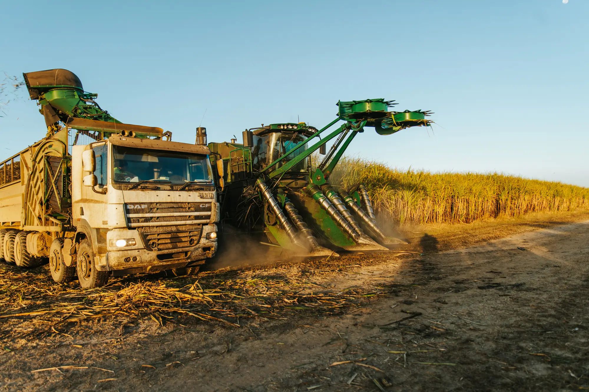 Harvesting machinery in a sugarcane field actively harvesting crops, highlighting the role of liquid fertiliser in Australian farm agronomy.